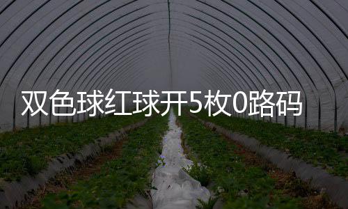 5枚码 球红球开头奖0路双色首次空开今年